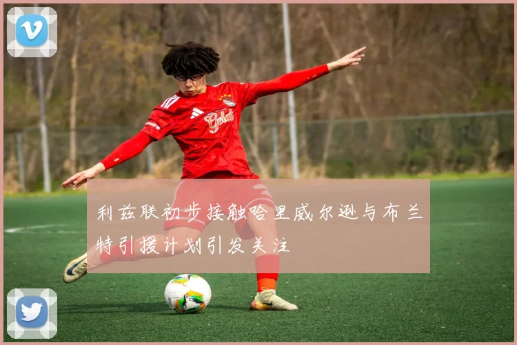 利兹联初步接触哈里威尔逊与布兰特引援计划引发关注