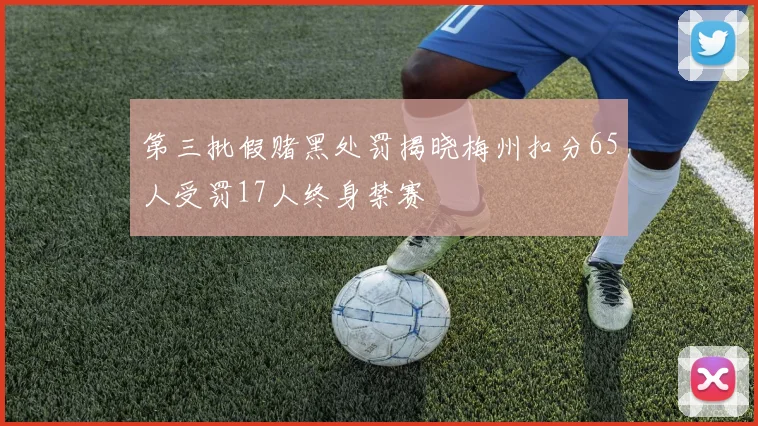 第三批假赌黑处罚揭晓梅州扣分65人受罚17人终身禁赛