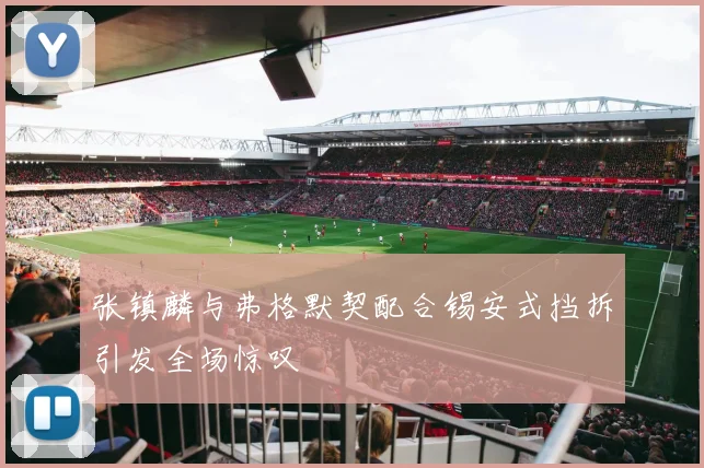 张镇麟与弗格默契配合锡安式挡拆引发全场惊叹